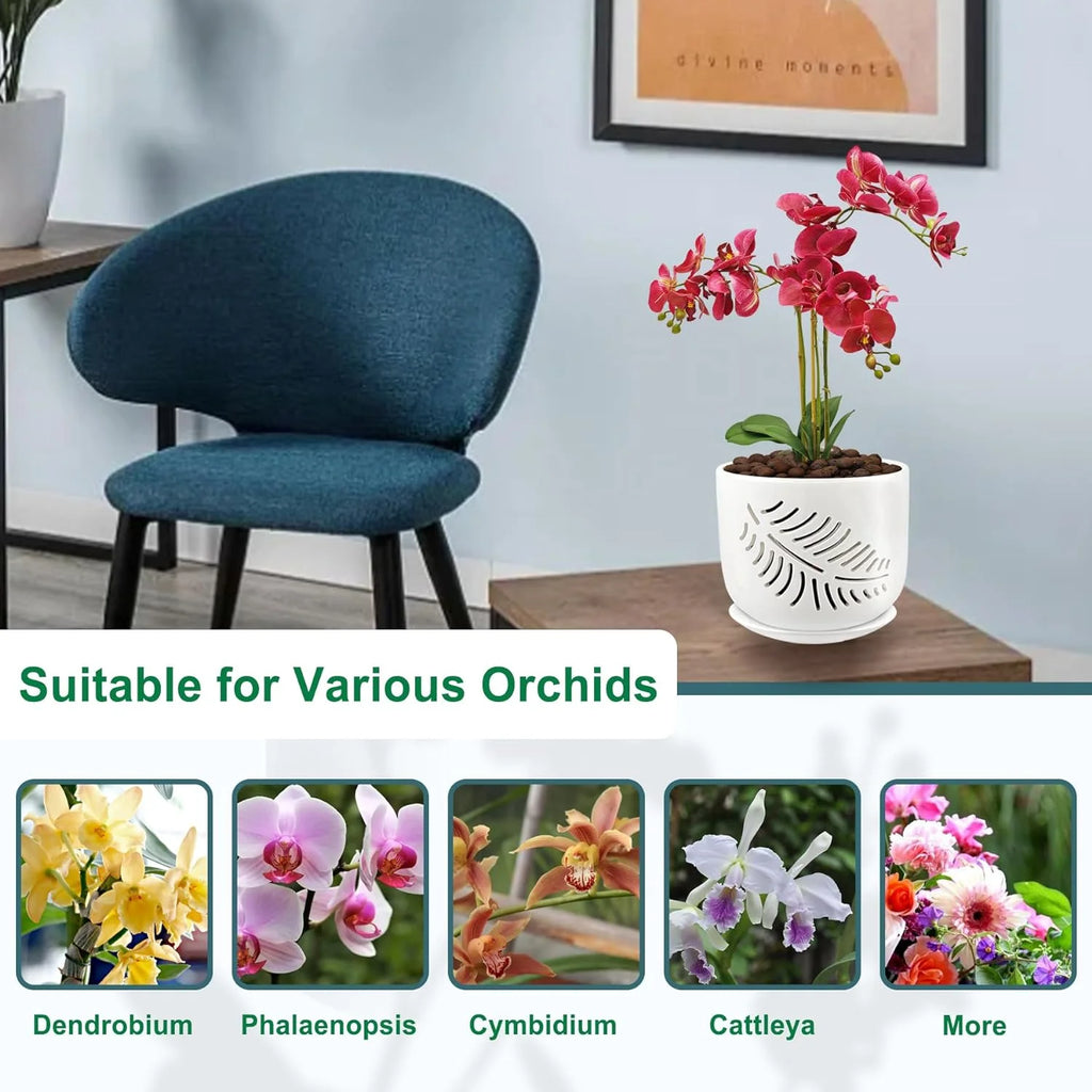 Ceramic Orchid Pots with Holes for Repotting, Indoor/Outdoor Planters, 2 Pack D646462