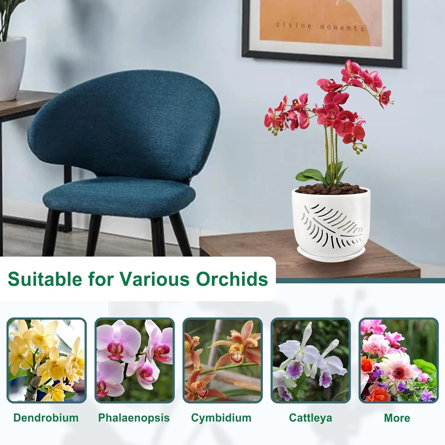 Ceramic Orchid Pots with Holes for Repotting, Indoor/Outdoor Planters, 2 Pack D646462