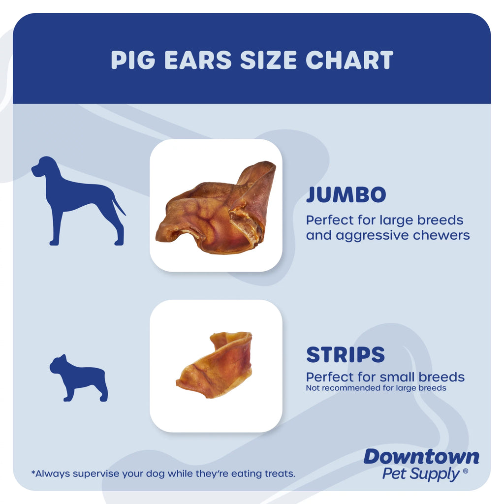 Jumbo Pig Ears Dog Chews 35 Pack E114782