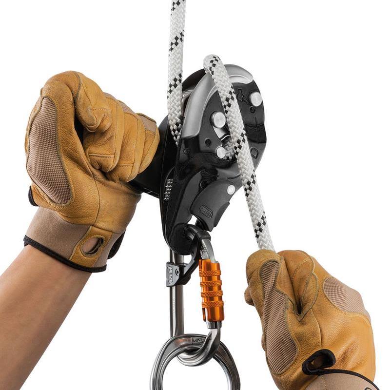 Descender Black L616121