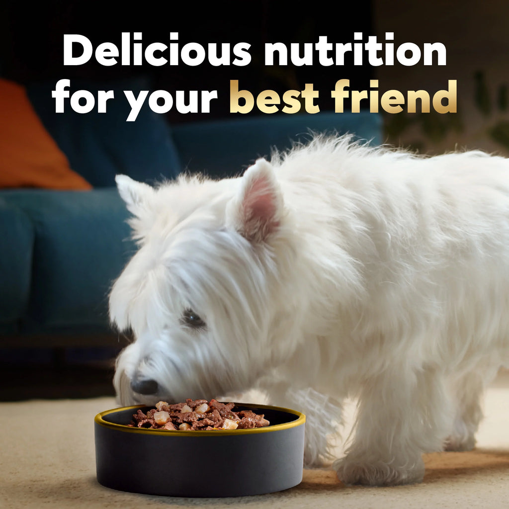 Ribeye Steak Flavor Dog Food with Vegetables, 3.5 oz (24 pk) N3996