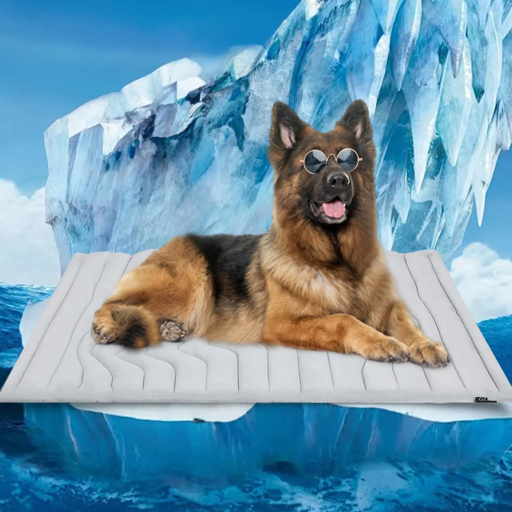 Dog Cooling Mat 36 x 23 Inch Reversible Pad for Crate and Bed V377