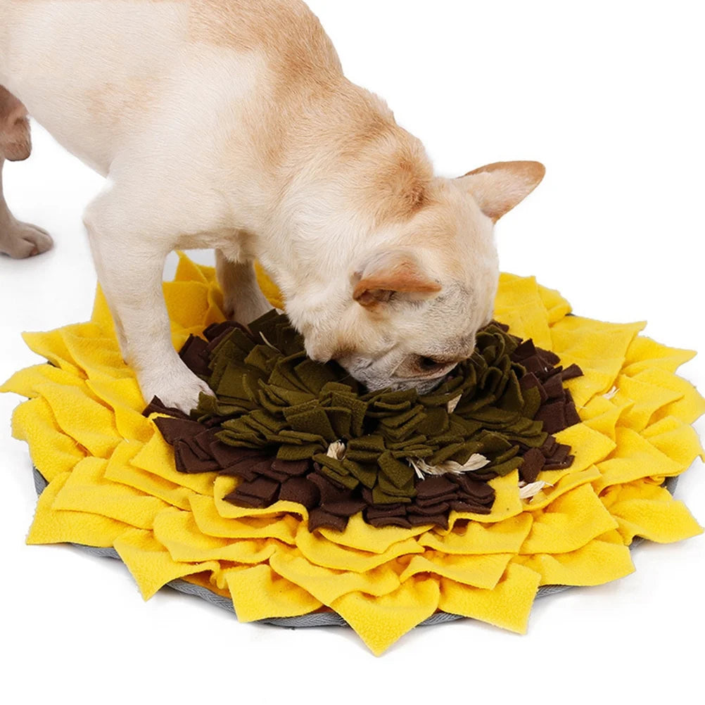 Slow Feeder Pad for Dogs, Non-Slip Pet Bowl T170