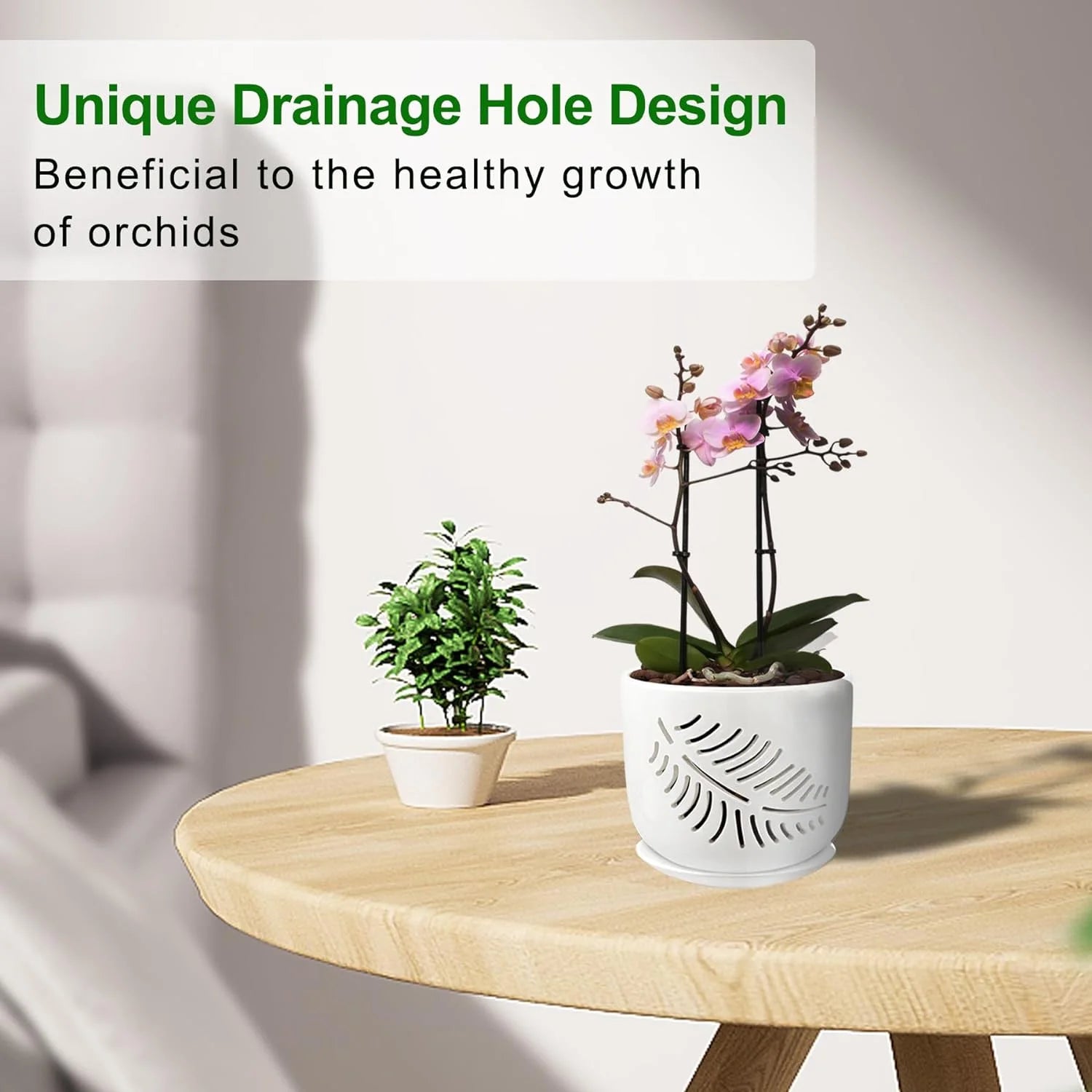 Ceramic Orchid Pots with Holes for Repotting, Indoor/Outdoor Planters, 2 Pack D646462