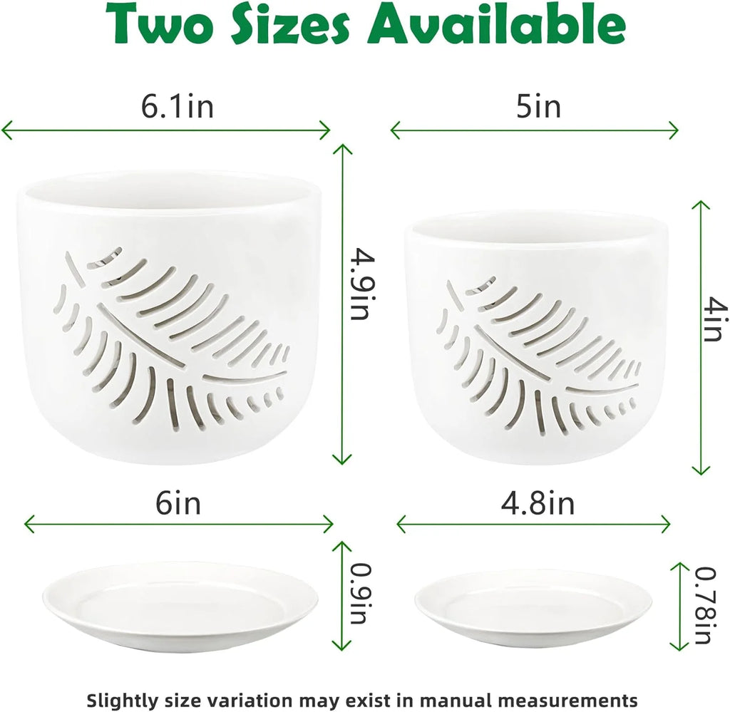 Ceramic Orchid Pots with Holes for Repotting, Indoor/Outdoor Planters, 2 Pack D646462