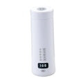 Portable Electric Hot Water Kettle Personal Hot Water Boiler 500ml Small Tea Hot Water Kettle for Tea Water, Hotel, Office