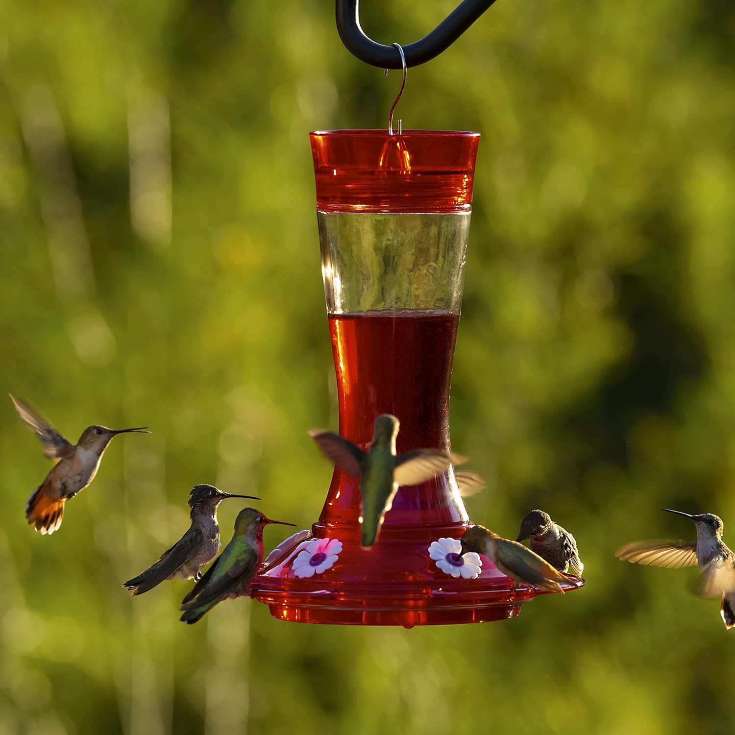Glass Hummingbird Feeder, 5 Feeding Stations, 20 oz for Outdoors E410