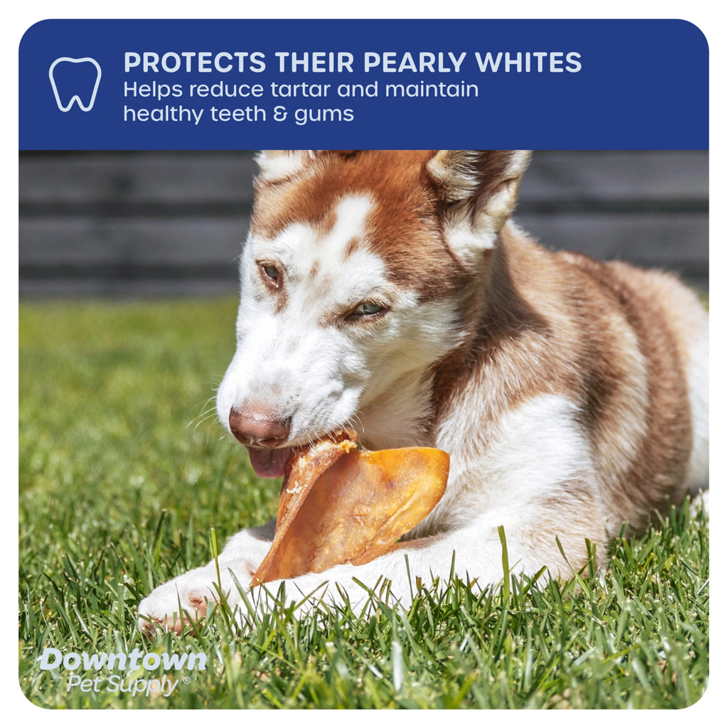 Jumbo Pig Ears Dog Chews 35 Pack E114782