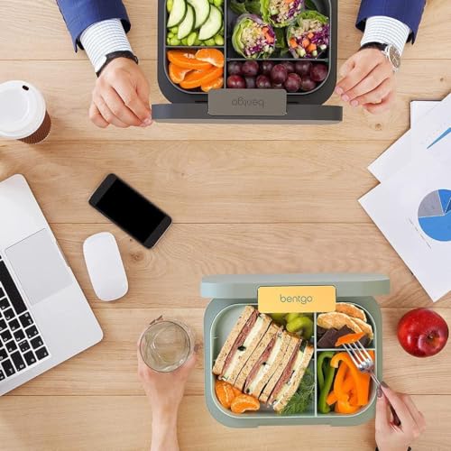 Leak-Resistant Bento Lunch Box for Adults, Teens, Reusable BPA-Free Meal Prep Container E831