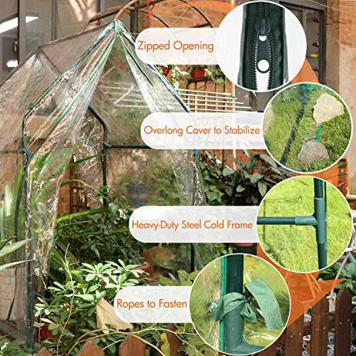 Mini Greenhouse Portable Clear Tent for Indoor or Outdoor Plants M39525