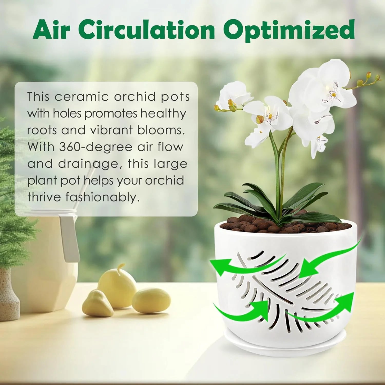Ceramic Orchid Pots with Holes for Repotting, Indoor/Outdoor Planters, 2 Pack D646462