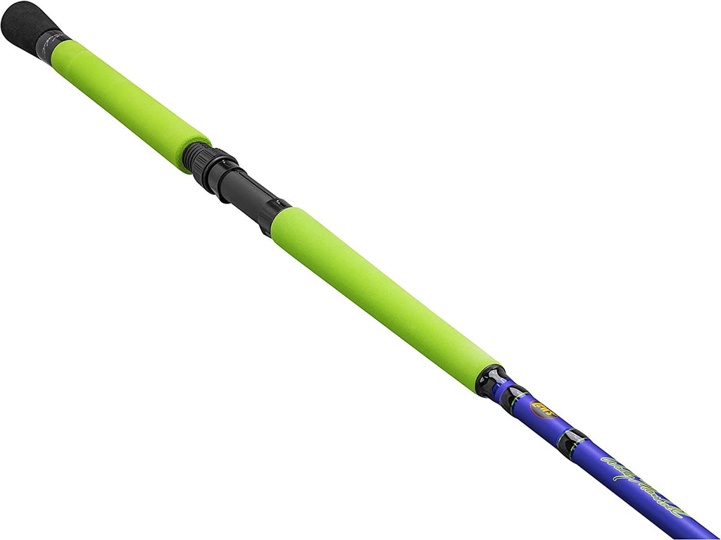 Spinning Rod H5462