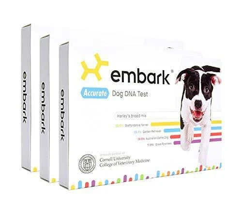Dog DNA Test with Breed Identification and Health Results A4949