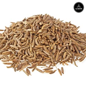Garlic Ground Powder, 5lbs, Gluten-Free & Non-GMO S51977