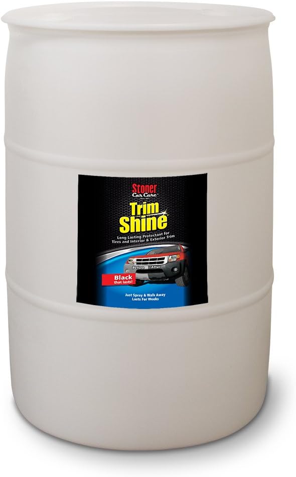 Trim Shine Protectant Aerosol for Interior and Exterior Plastic, 12 oz, Pack of 12 H1787