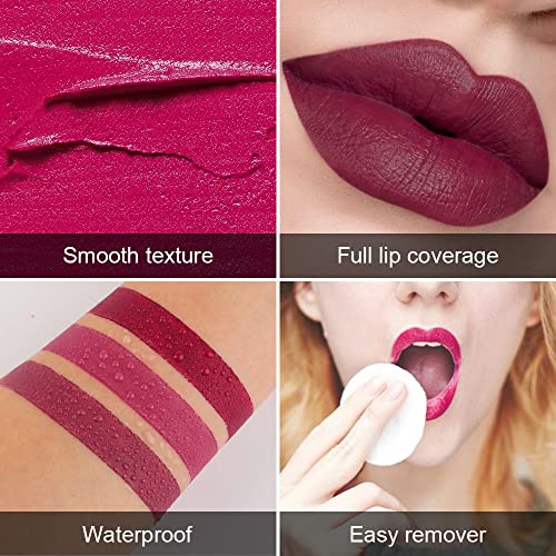 5Pcs Matte Lipstick Set for Women, Long Lasting Velvet Finish U9478