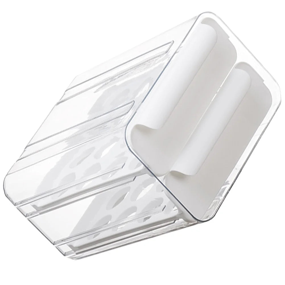 Egg Carton Organizer Storage Box E450093