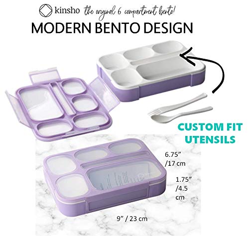 Bento Lunch Boxes with Insulated Bag and Ice Packs, 6 Compartments, Leakproof, Blue & Pink L15199