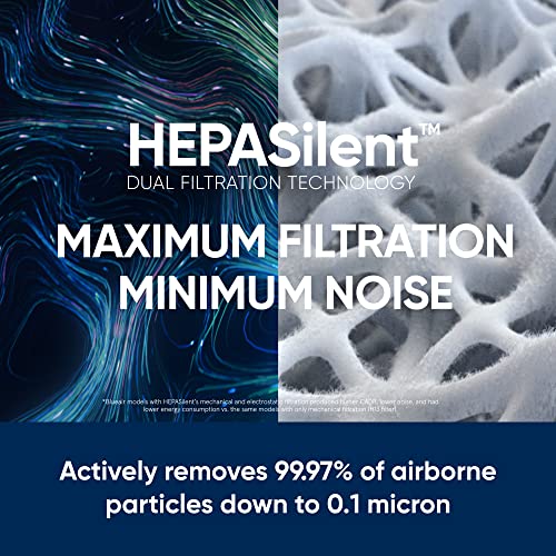 Air Purifier for Small Room, Bedroom, Home, Cleans 926 sqft, HEPASilent for Pets, Allergens, Dust, Mold, Smoke E23720