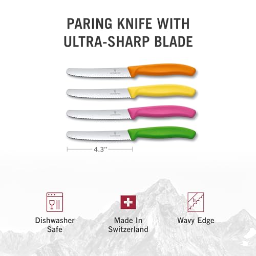 4-Piece Paring Knife Set, Multicolored G552