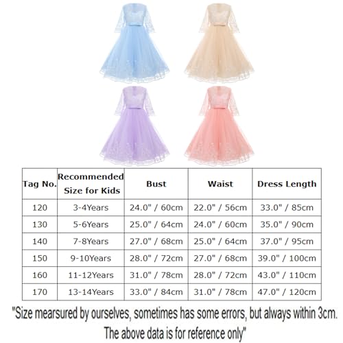 Flower Girl Lace Dress for Kids Wedding Party Puffy Tulle Gown Z244660