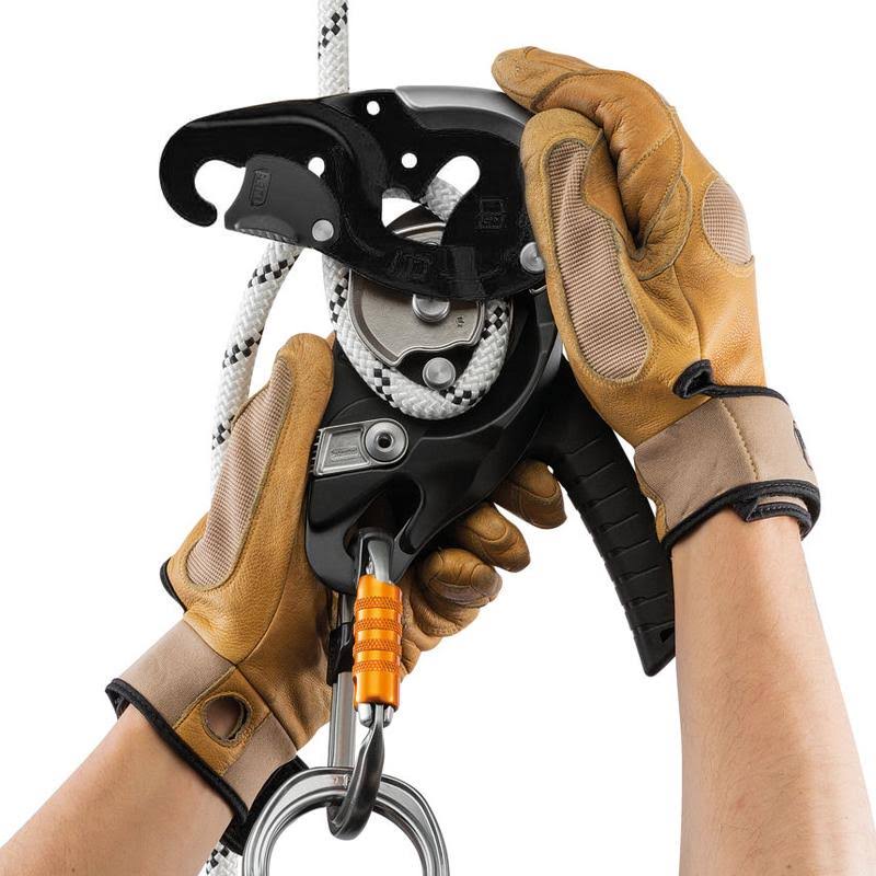 Descender Black L616121