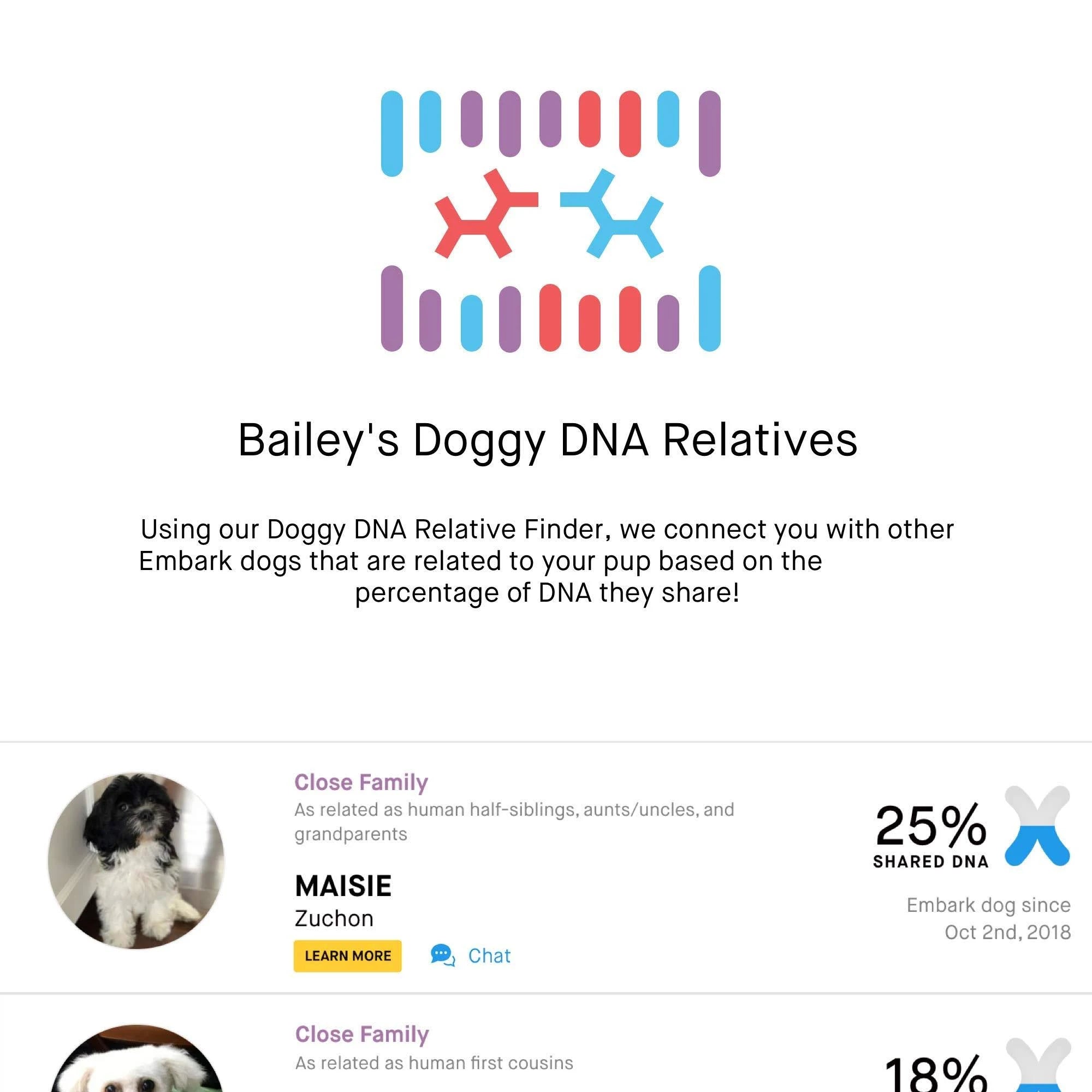 Dog DNA Test with Breed Identification and Health Results A4949