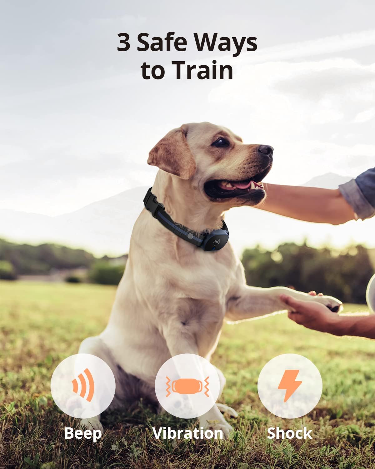 Rechargeable Dog Training Collar with Remote, 3 Modes, Waterproof, 2-Pack W4227
