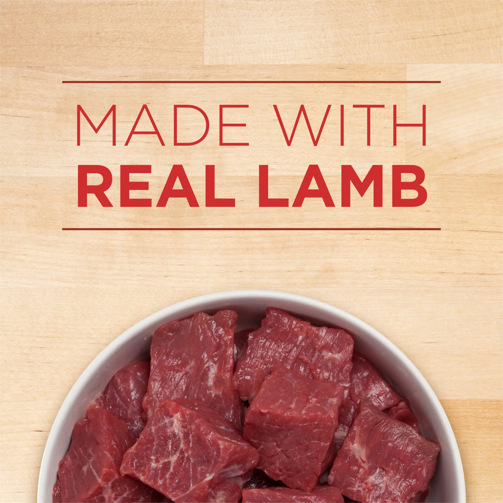 Puppy Wet Dog Food with Lamb and Rice, 13 oz Cans (12 Pack) B502784